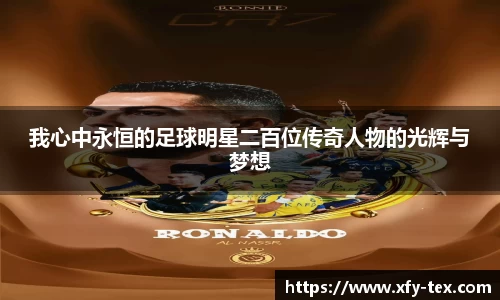 我心中永恒的足球明星二百位传奇人物的光辉与梦想